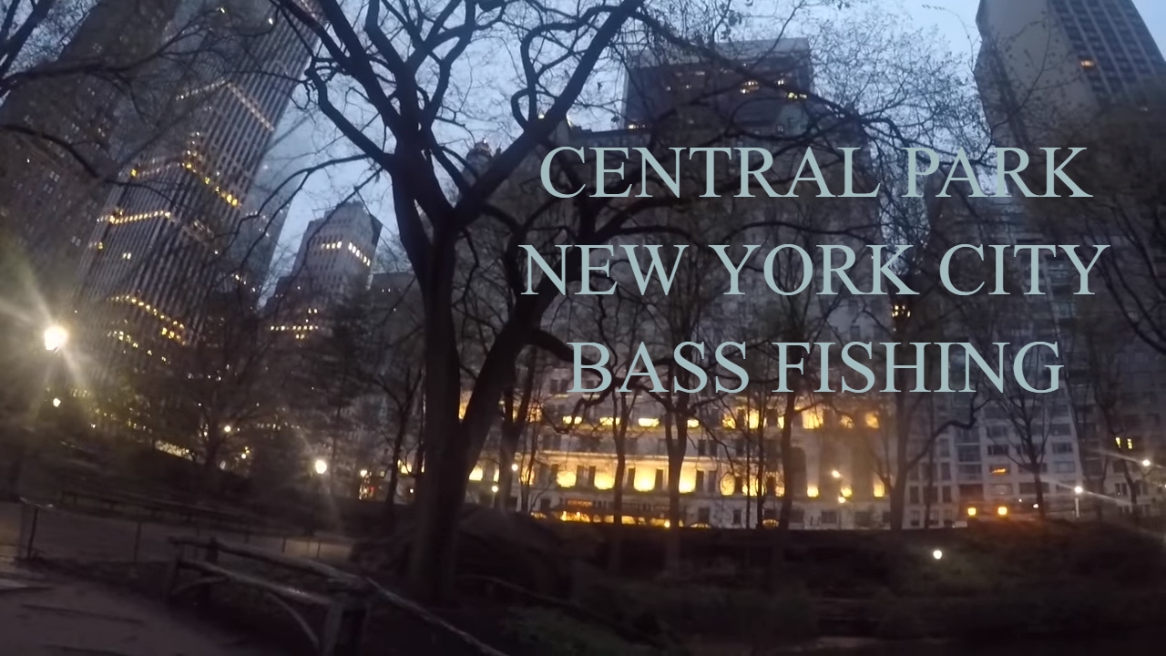 Central Park New York City Bass Fishing YouTube