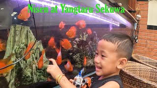 Nisen At Yangtaru Yangtaru Sekuwa Corner Coppon The Biggest Pork Sekuwa On Kathmandu