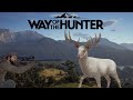 Huge Albino Whitetail Rare Fur! - Matariki Park - Way of the Hunter