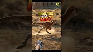 This Dinosaur Had FOUR Wings… And Could Fly 🦖 #dinosaurs #didyouknow #facts #cbum