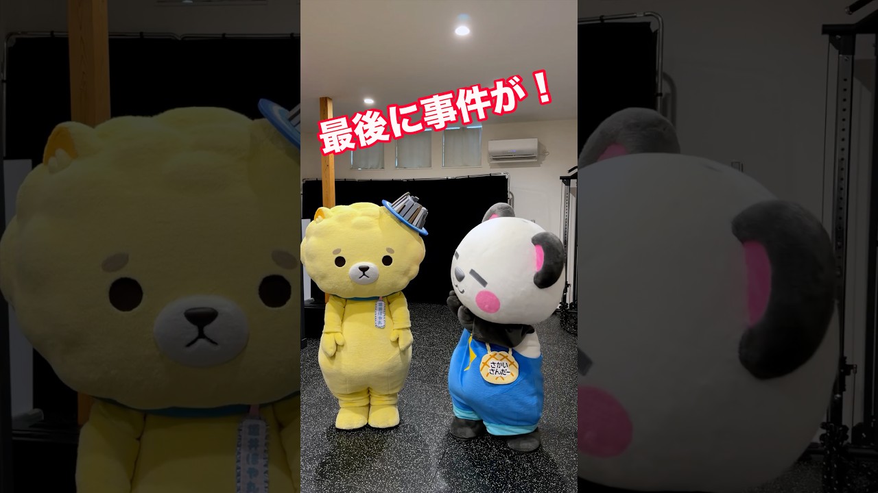 ダブル優勝を目指しています！！！🏆🎖️ #坂井ほや丸 #さかいさんだー #ゆるバース2026 #坂井市 #福井県