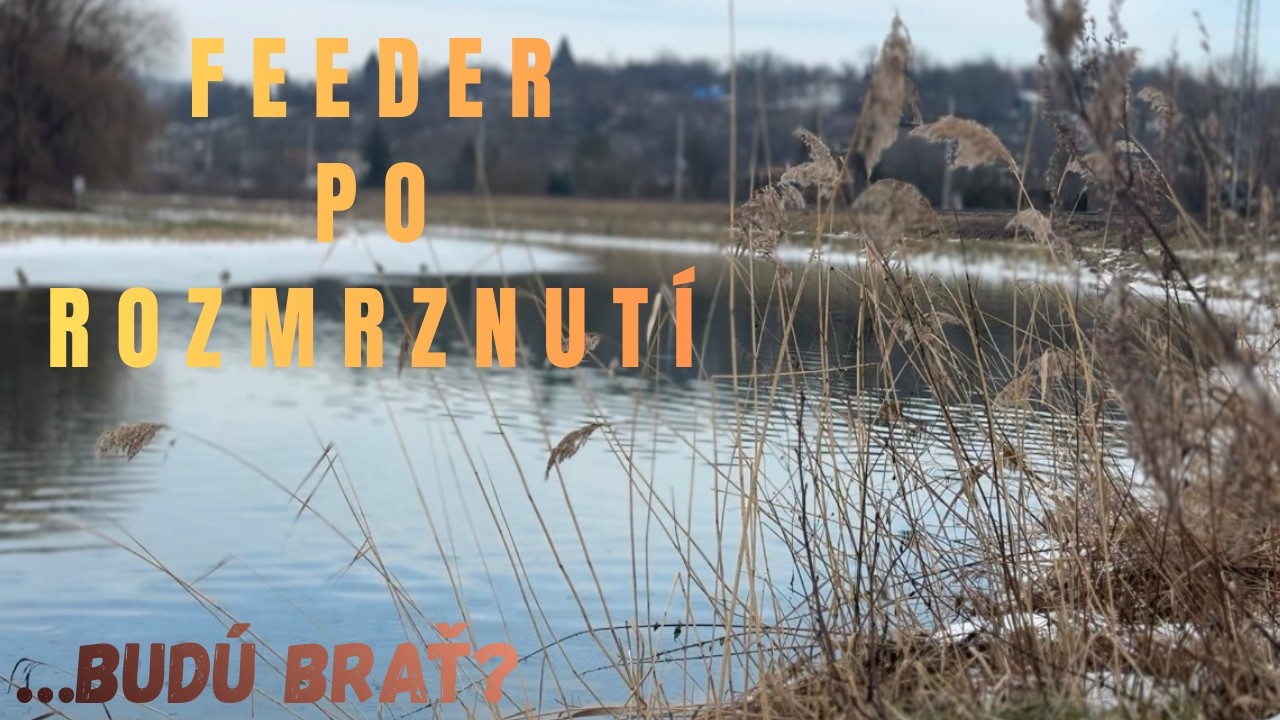 Feeder po rozmrznutí-Budú brať?