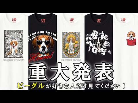 【ご報告】ユニクロでビーグルのTシャツを販売することになりました
