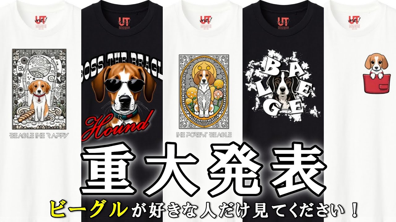 クニオコレクションのビーグルちゃんの黒色の可愛いtーシャツです ご報告】ユニクロでビーグルのTシャツを販売することになりました