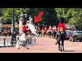King's Horse Suddenly Reared Up... The Officers Horsemanship Professionalism Stunned the Crowd