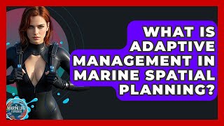 What Is Adaptive Management In Marine Spatial Planning? - The Marine Life Explorer