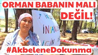 ORMAN BABANIN MALI DEĞİL! AKBELEN ORMANINDA KIYIM VAR. ORMANA SAHİP ÇIK! by Tolga Yalçın 7,697 views 10 months ago 13 minutes, 42 seconds