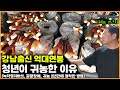 강남출신 억대연봉 청년이 귀농한 이유[위대한 실패🙏]