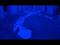 BIBLIOTHEQUE DOM CALMET : Expo &amp; Feu d'artifice !  (Episode 56)