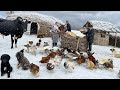 Nomadic Family Baking Delicious Fatir Bread on Saj in a Traditional Clay Oven