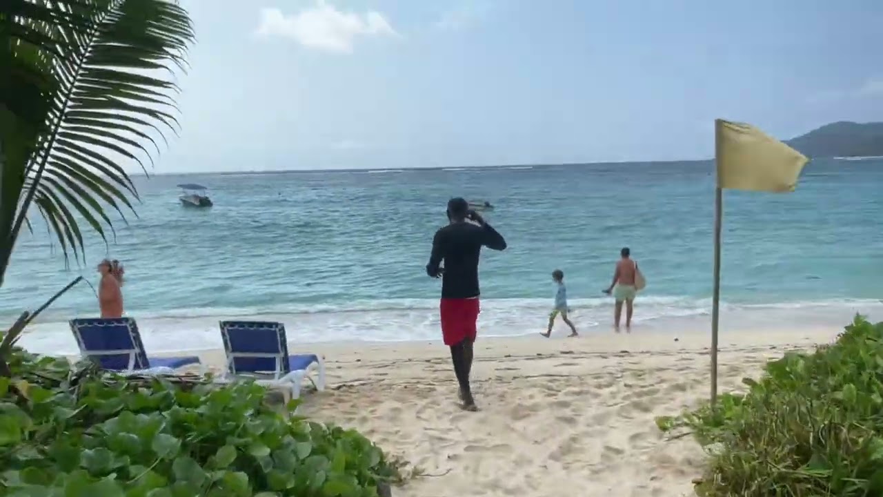 Peaceful Morning View 😍 | Seychelles Anse Royale Beach 🇸🇨