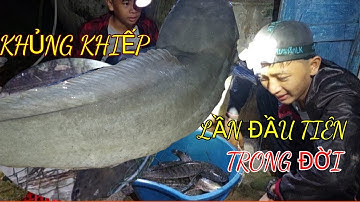 Lần đầu tiên cắm câu dính cá nhiều và khủng thế này |HQBL |T43