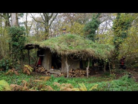 Video: Di Tepi Hutan Meksiko Berdiri Rumah Pohon Tulum