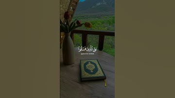 تلاوة هادئه //القارئ عبد الرحمن مسعد