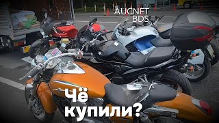 видео: Чё купили? (26 октября) картинка: Чё купили? (26 октября)