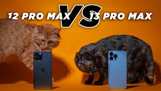 iPhone 12 Pro Max vs iPhone 13 Pro Max | Top Things People Actually Care About