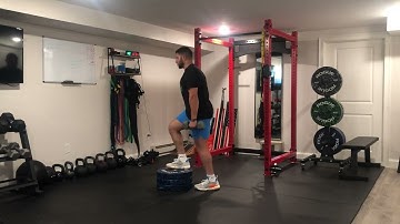 Matthew Ibrahim | DB FFE Reactive Jump w/ Stick