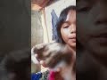 #kucing#imut sebenarnya bulunya itu megar banget