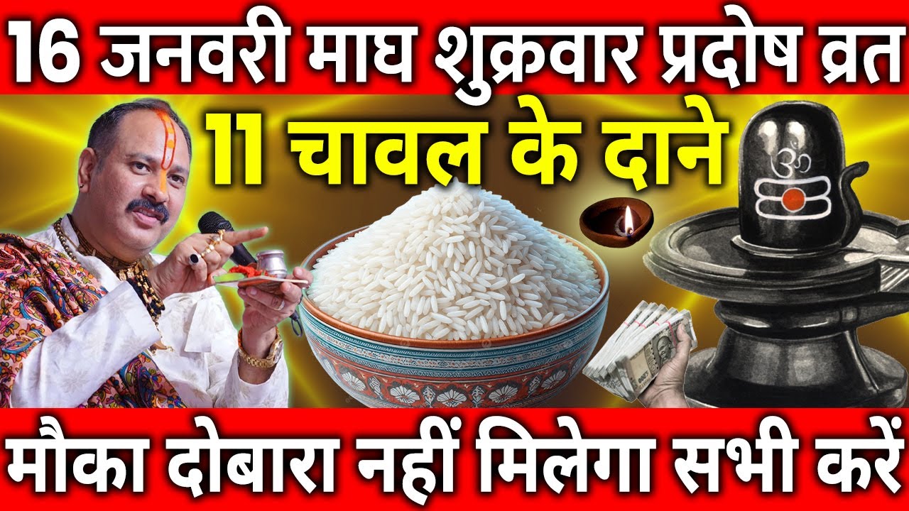 16 जनवरी माघ शुक्रवार प्रदोष व्रत के दिन 11 चावल के दाने वाला उपाय जरुर करे || Pradeep Ji Mishra
