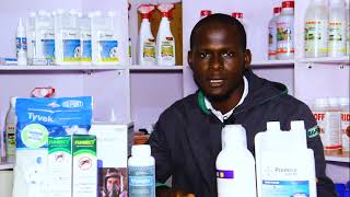 Pest Control and Pest Management Training in Lagos | DFORTUNE| Video Highlights