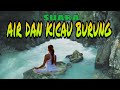 Suara Air Dan Suara Kicau Burung Untuk Realaksasi Mp3 - Mp4 Download