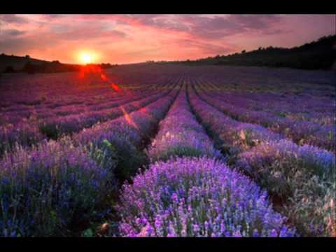 Andrew Schultz Violin Concerto.wmv