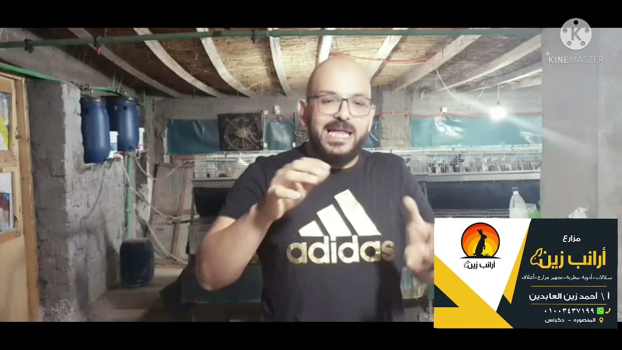 علاج الرياله( بلل دقن الارنب )فى الفطام والقطيع