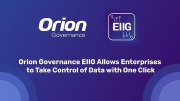 Master Data Governance with Orion Governance
