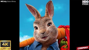 Peter Rabbit Run Gameplay Walkthrough #9: Character Runners #5