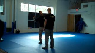 Basic Movement When Striking by Systema with Mark J