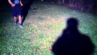 Egg vs gravity 1