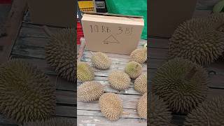 durian 10 ribu dapat 3 buah, bagaimana isinya ya dan bagaimana rasanya? #durian #durianlokal #fyp