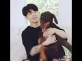 Jungkook and his dobermann, Jeon Bam