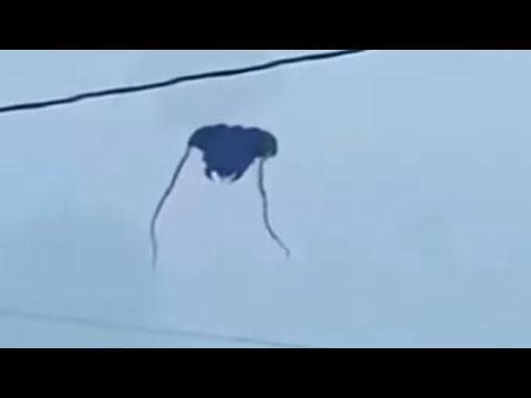 WTF Is Visiting? Jellyfish UFO, Grey Aliens, Bigfoot & Monsters Videos 2025