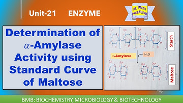 Determination of 𝛼-Amylase Activity using Standard Curve of Maltose || DNS Method || Enzymes 21