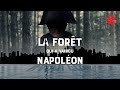 La forêt qui a vaincu Napoléon