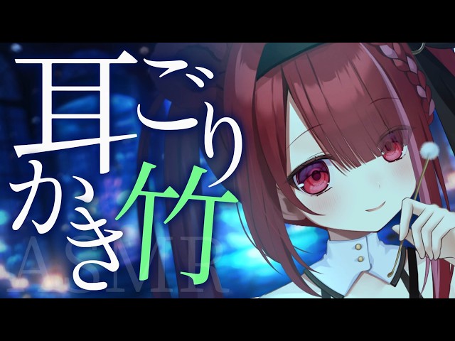 【ASMR/3Dio】ゴリゴリした耳垢を豪快に削る耳かき。極上の耳掃除。睡眠┆囁き┆Earcleaning┆Whispering┆Vtuber【星めぐり学園/切熊ゆに】