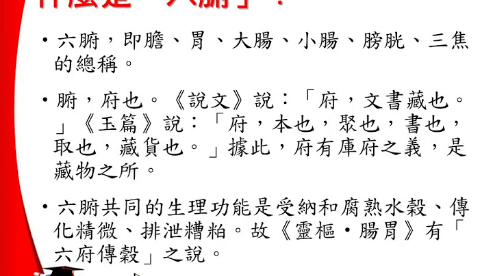 【醫學課程】中醫生理學 09 六腑 2016 11 18 - 天天要聞