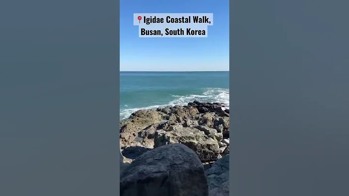 Igidae Coastal Walk - One of the most beautiful hiking trails in Busan #shorts