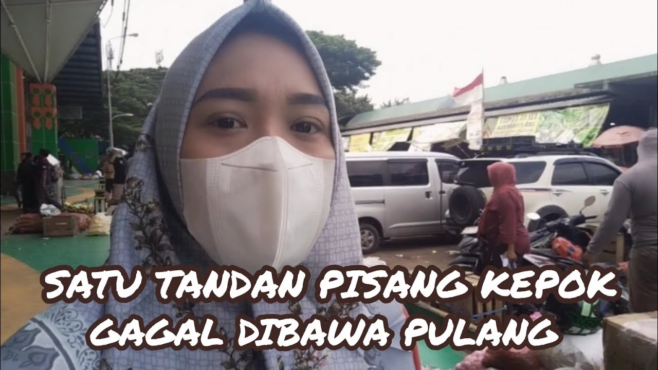 SATU TANDAN PISANG KEPOK GAGAL DIBAWA PULANG 🥲🥺😭😰