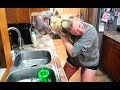 I GAVE MY CAT A BATH | SHE ATTACKED | CAT FAIL | HAIRLESS CAT FIGHTS BACK | ABS AND KANDY