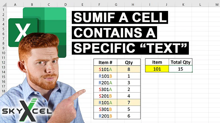 How to Sum Values If a Cell Contains a Specific Text | SKYXCEL