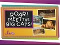 Roar! Meet the Big Cats! | Animal Science for Kids