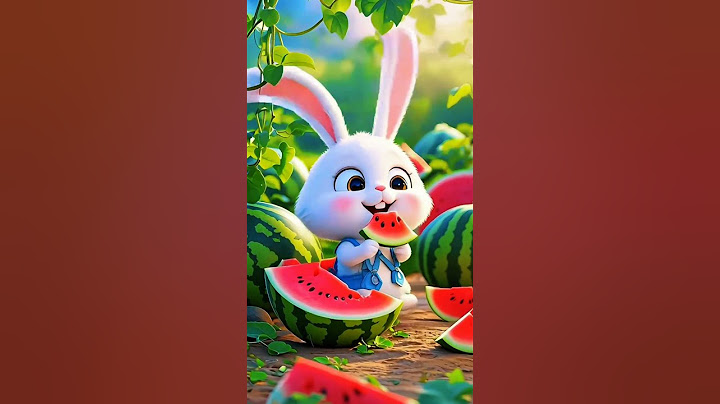 It's not hard to be happy, just be content. #cutepet debut plan #healing #cute cute