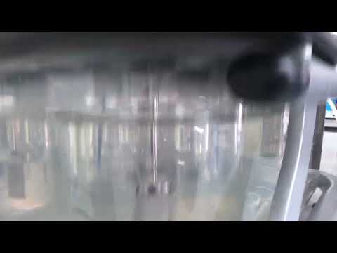 Working of Dissolution Apparatus