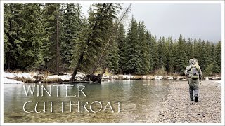 Fly Fishing for Winter Cutthroat Trout in Beautiful British Columbia