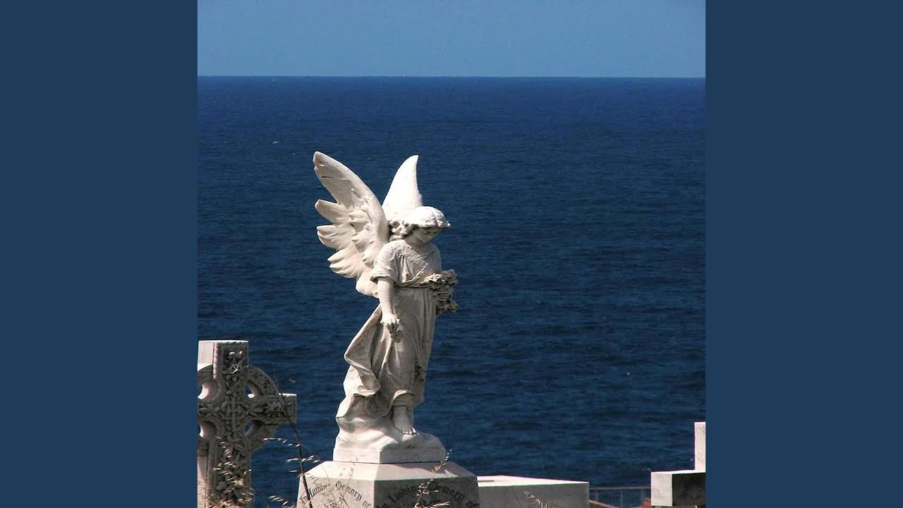 YouTube पर Sofia देखें YouTube पर Sofia देखें