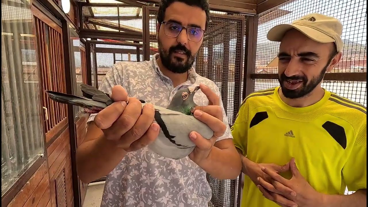 توليعة من نوع آخر 🥳عند أحد أبطال بني ملال (loft kessar) فرجة ممتعة 🫡♥️🤍