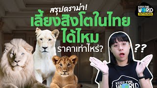 สรุปให้ เลี้ยงสิงโตในไทยได้ไหม ราคาเท่าไหร่? l KeepTheWorld