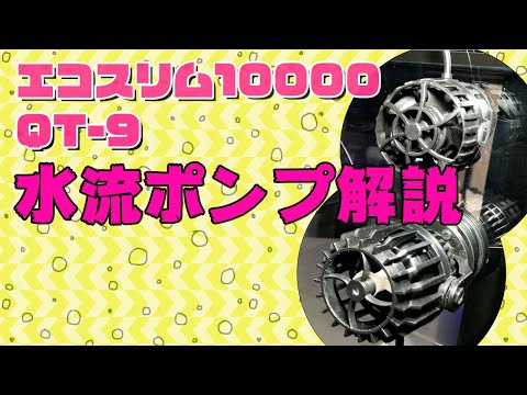 エコスリム ３００００ 水流ポンプ DC24V 7W　Eco Slim 水流ポンプ エコスリムシリーズ | 広角水流でサンゴに優しい水流を実現